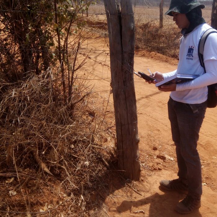 Trabalho de campo — medição em propriedade rural na caatinga